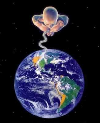 Earth &amp; Fetus